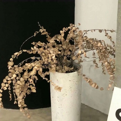 兽设零基础绘画教程兽圈群